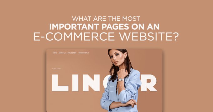 Find here the expert guide regarding the must have pages in an ecommerce website for better accessibility & user experience.